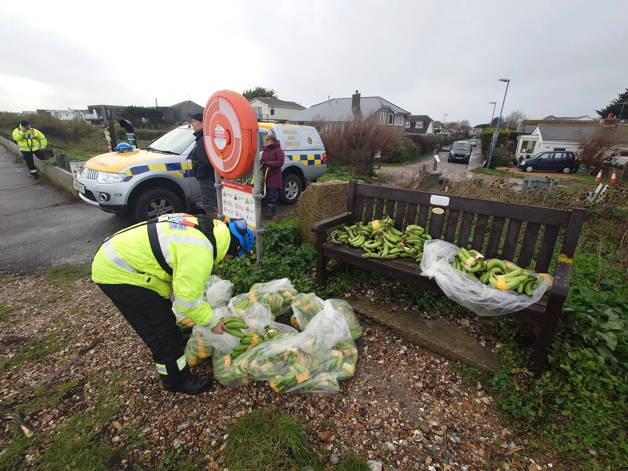 Банани на березі Англії: як аварія контейнеровоза оголила ризики морської логістики